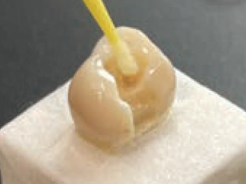 application-hi-bond-1 application-hi-bond-1