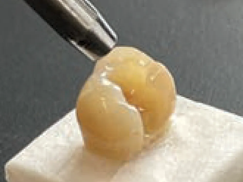 application-hi-bond-2 application-hi-bond-2